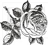 11705 Roses for you (S-00098).